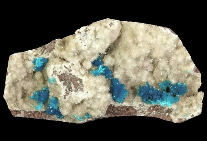 Vibrant Blue Cavansite Clusters on Stilbite - India #64809